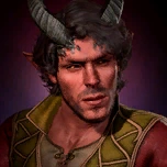 Архивариус портрет BG3