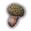 Dragon Egg Mushroom Item Icon