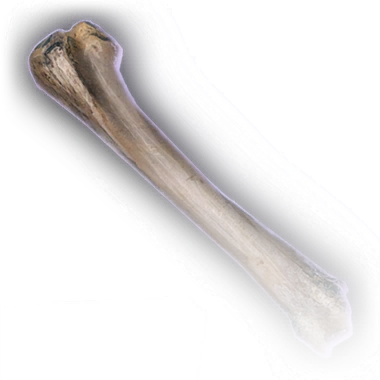 Бедренная кость ротэ