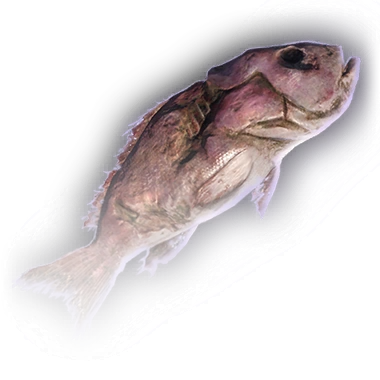 Тухлая рыба