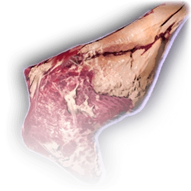 Баранья нога