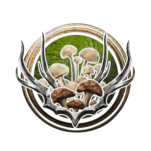 Иконка Класс Друид (Круг спор)