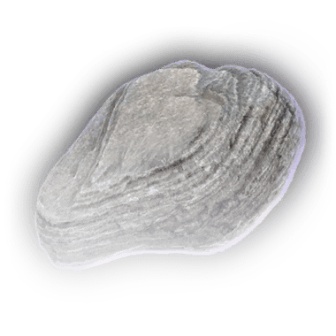 Камень из Врат Балдура