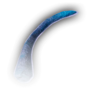 Nightlight Frond Icon