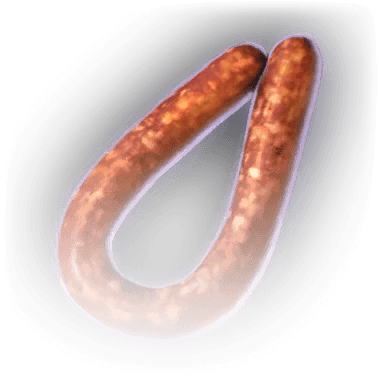 Вяленая колбаса