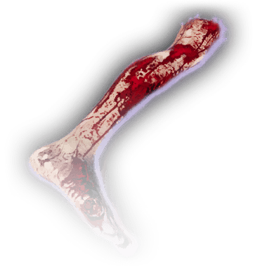 Отрезанная нога2