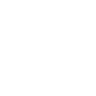 Иконка Бронзовый Драконорожденный Подраса