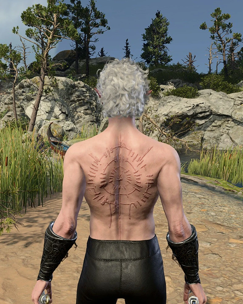 Шрамы Астариона