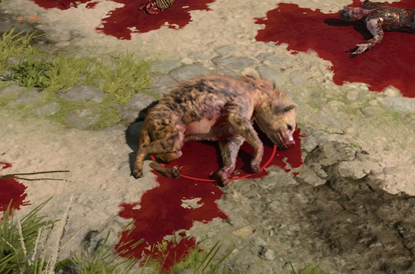 Распухшая гиена BG3