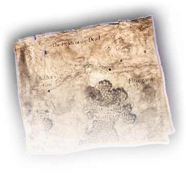 Книга Записка 11