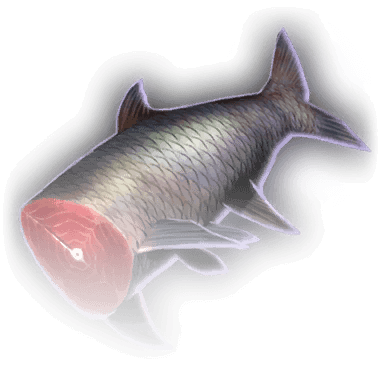 Безголовая рыба