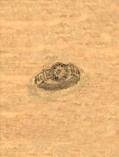 Ring of Wizardry item artwork BG2