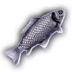 Иконка Рыба