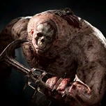 Плоть портрет BG3