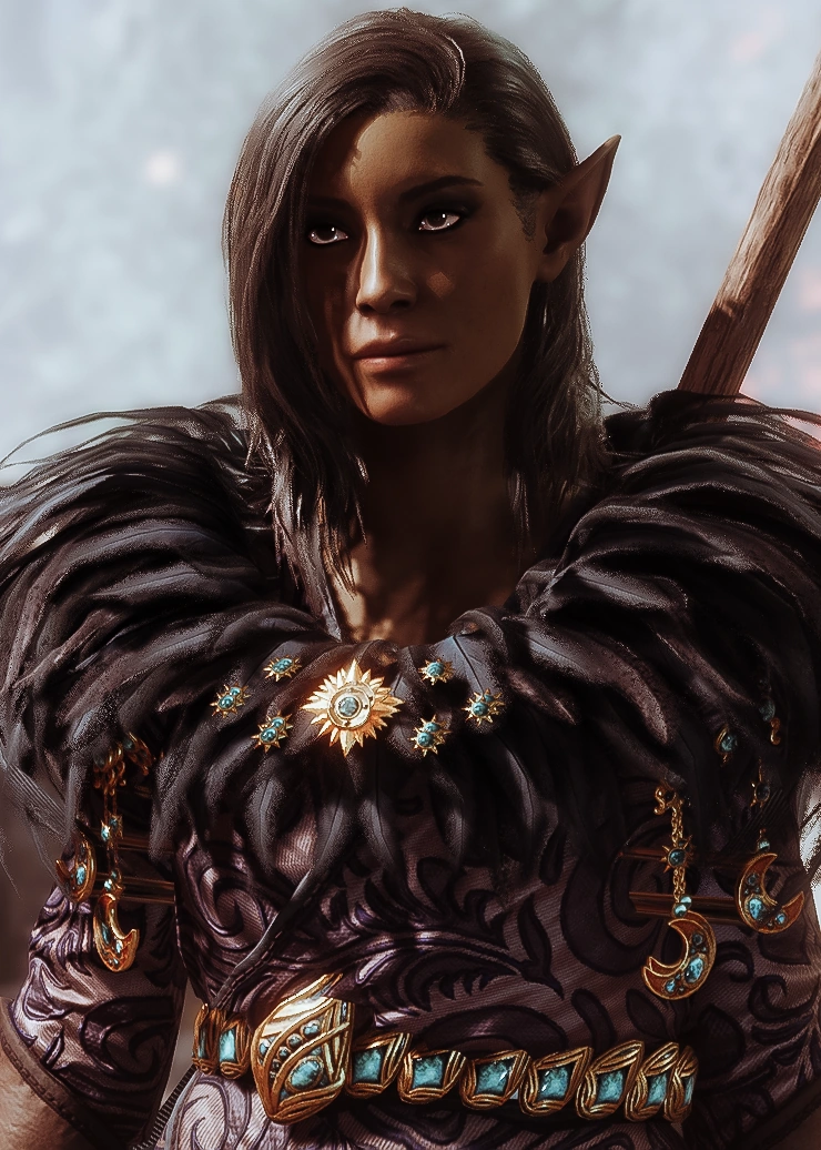 Советница Флоррик 0