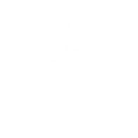 Иконка Предыстория Аристократ