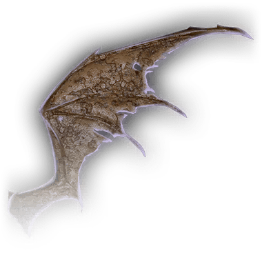 Mud Mephit Wing Icon