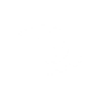 Иконка Медный Драконорожденный Подраса