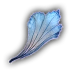 Иссохший лепесток суссура