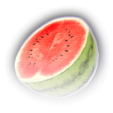 Половина солнцедыни