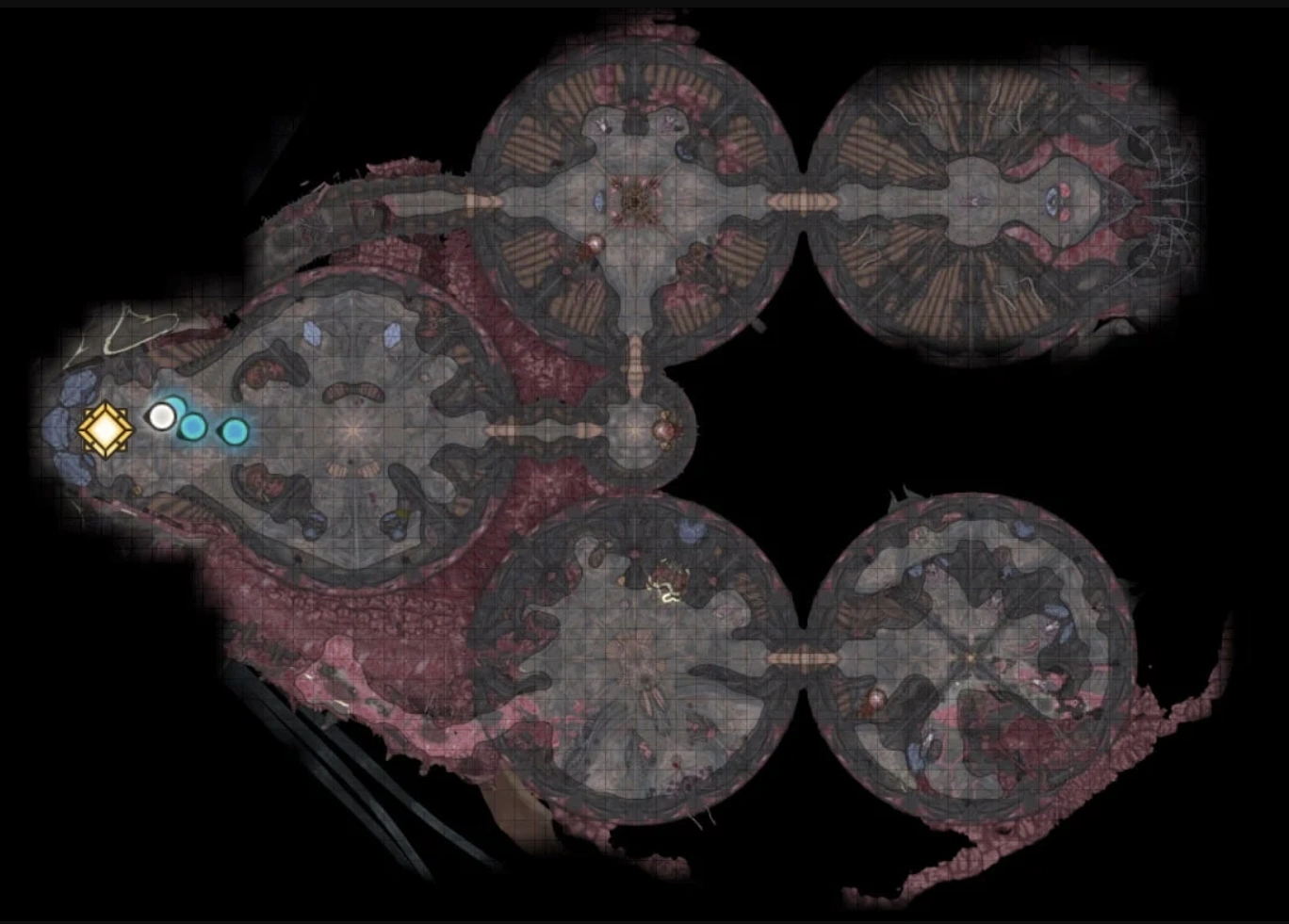 Карта локации «Наутилоид» из игры Baldur's Gate III