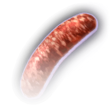 Вяленая свиная колбаса