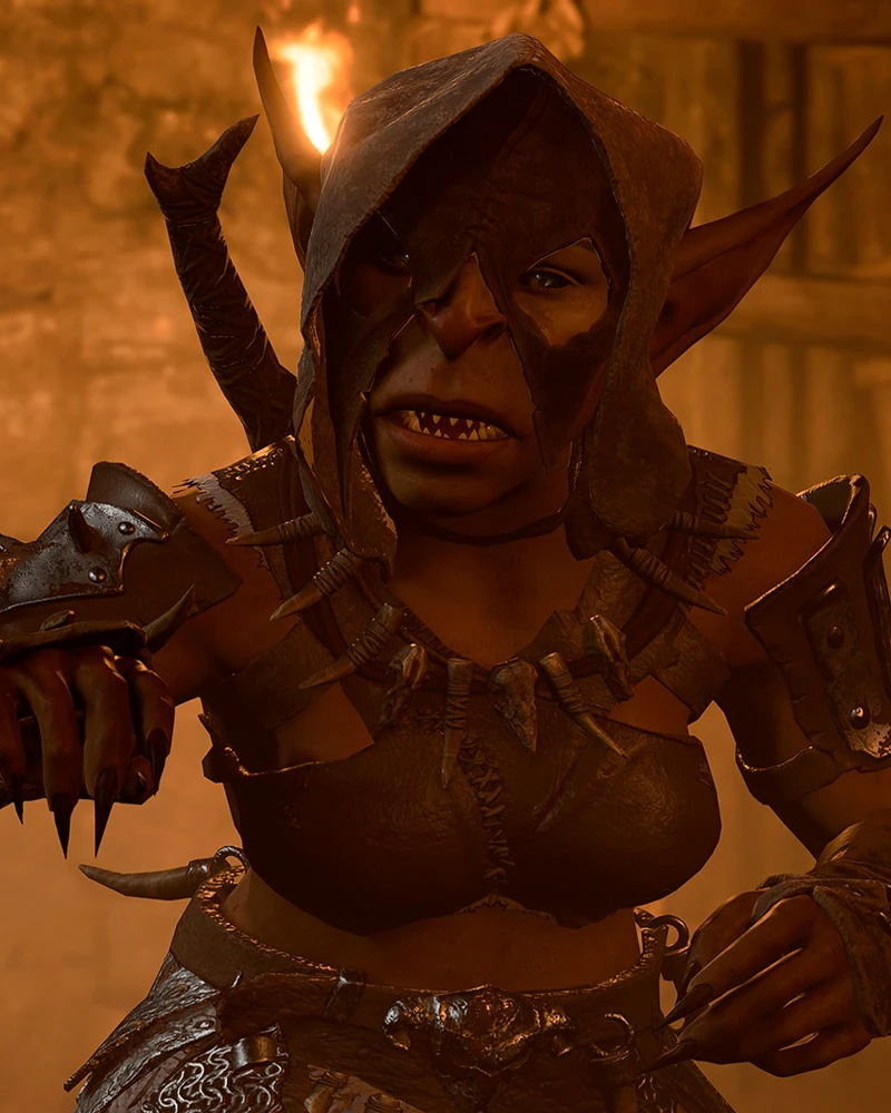 Драчунья Бирке