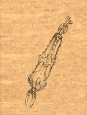 Flail Head Electric item artwork BG2