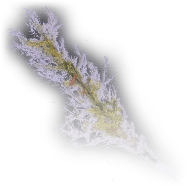 Иконка Полынь