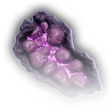 Луковичный гриб