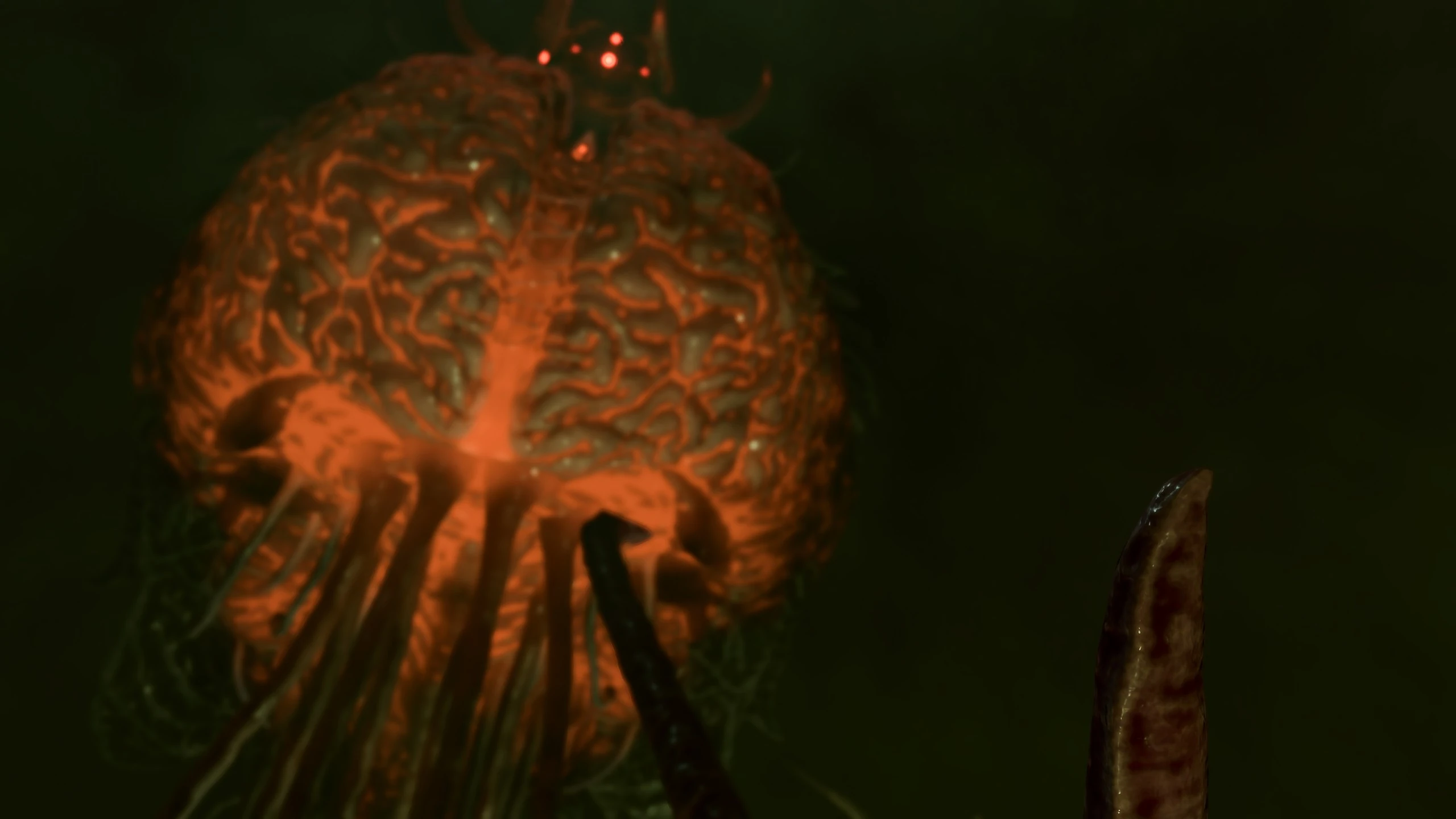 Колония иллитидов0