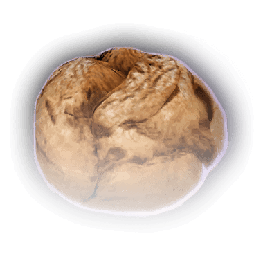 Булочка с семенами подсолнуха