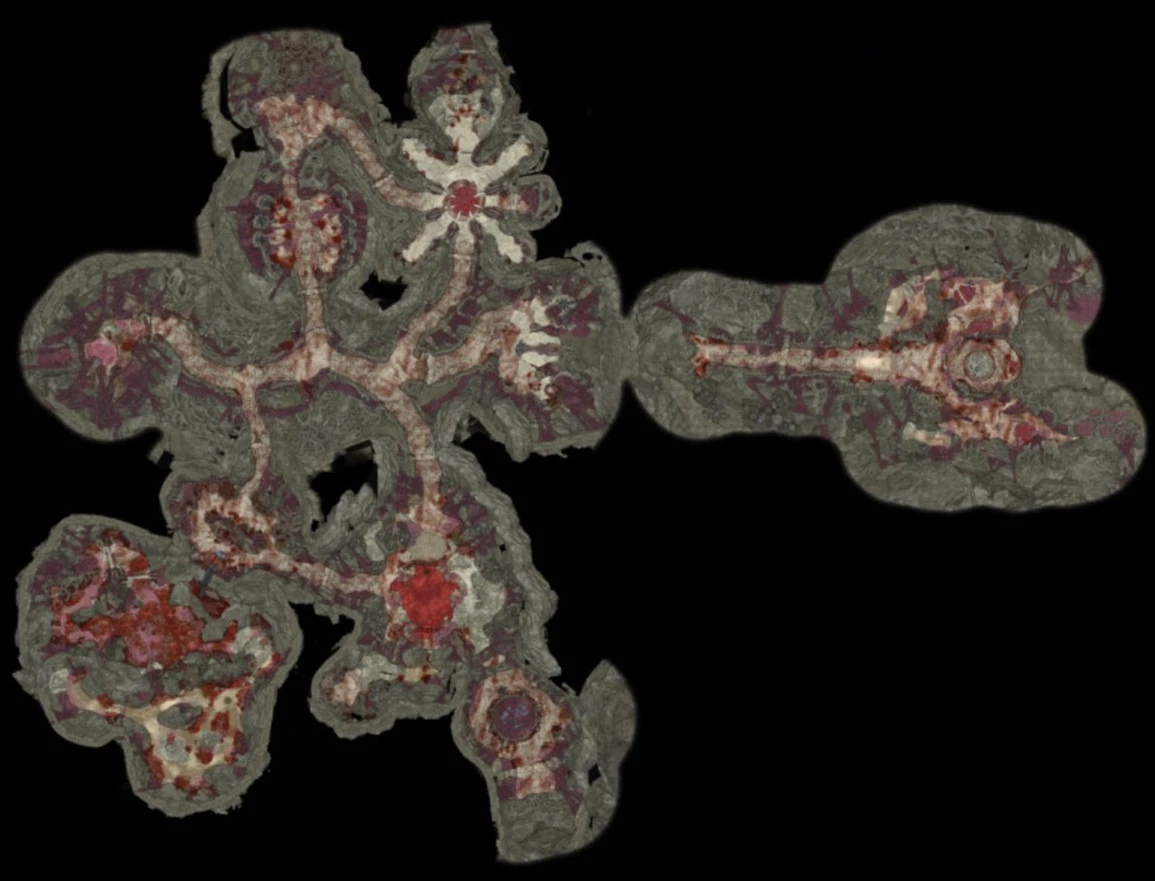 Карта Колонии иллитидов