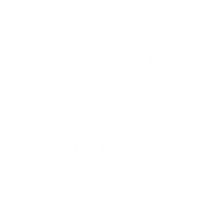 Иконка Полуэльф Раса