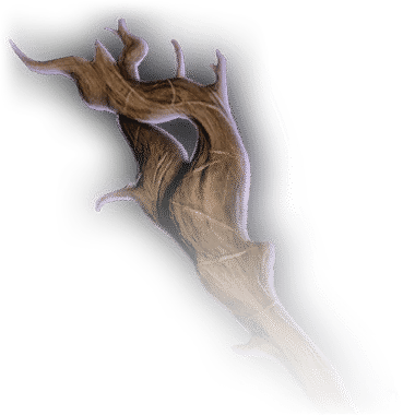 Gnarled Tree Branch Faded