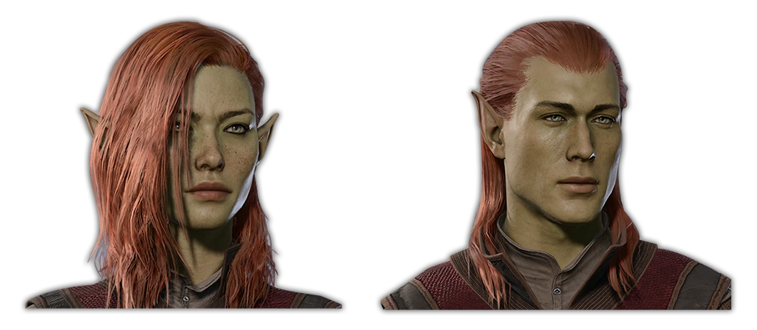 Лесной эльф