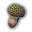Dragon Egg Mushroom Item Icon