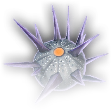 Граната Шипастый клубень