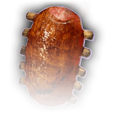 Жареное мясо ротэ на ребрышках