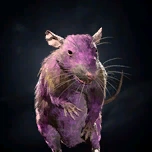 Снотворная крыса портрет BG3