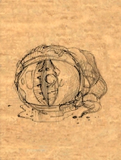 Eyestalk item artwork BG2