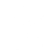 Раса Эльф Иконка