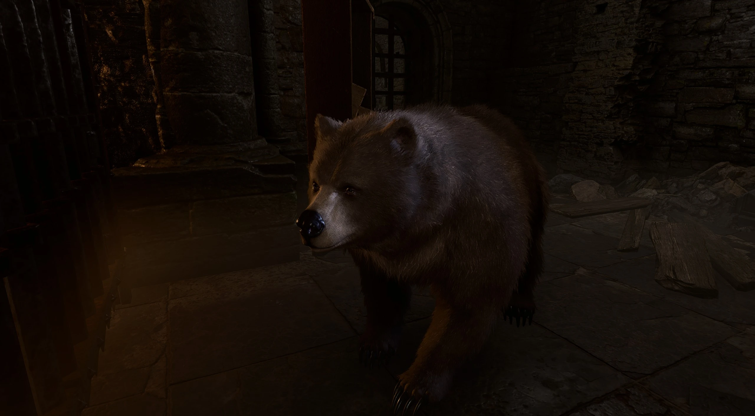 Спасти друида Хальсина