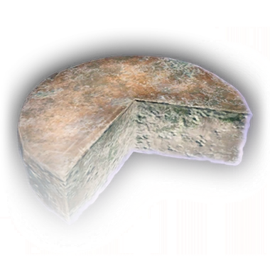 Круг тухлого берегостского сыра