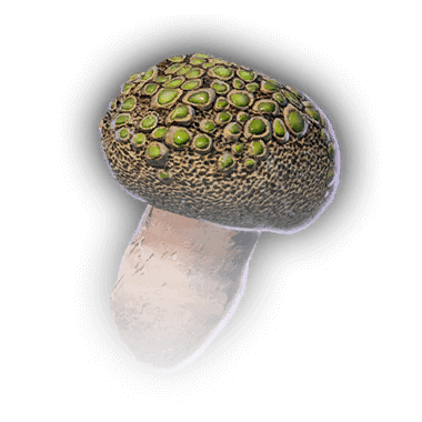 Dragon Egg Mushroom Icon