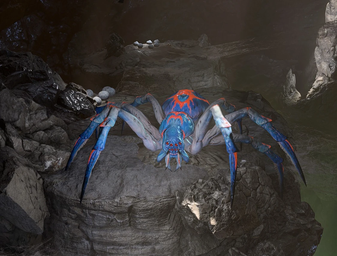 Фазовый паук-матриарх0