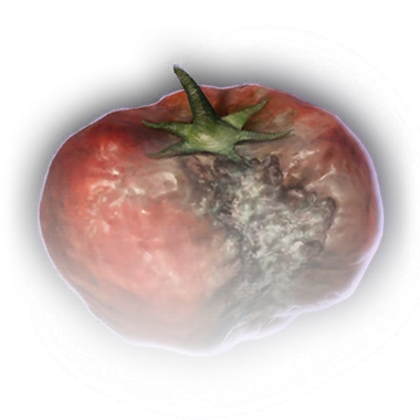 Гнилой помидор