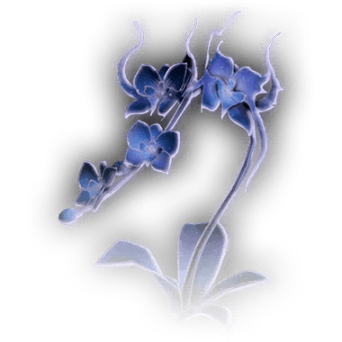 Night Orchid Icon
