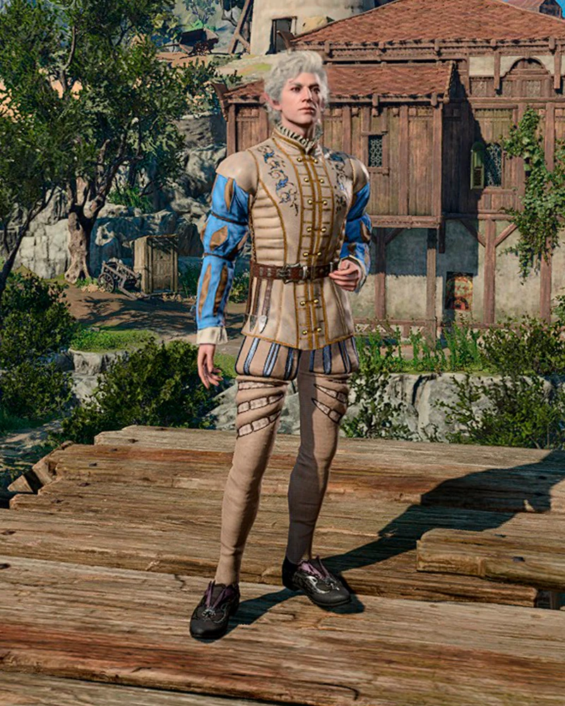 Дублет для зимнего бала