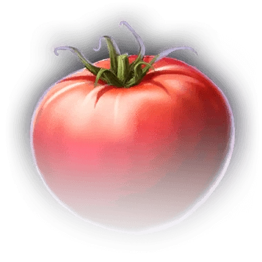 Помидор